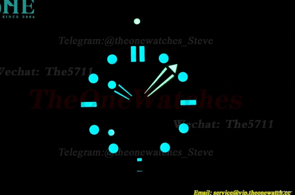 Seamaster Wht A8800 SS SS blue 300m 42mm JVSF 0112